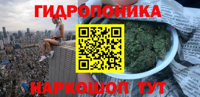 прущие грибы Когалым