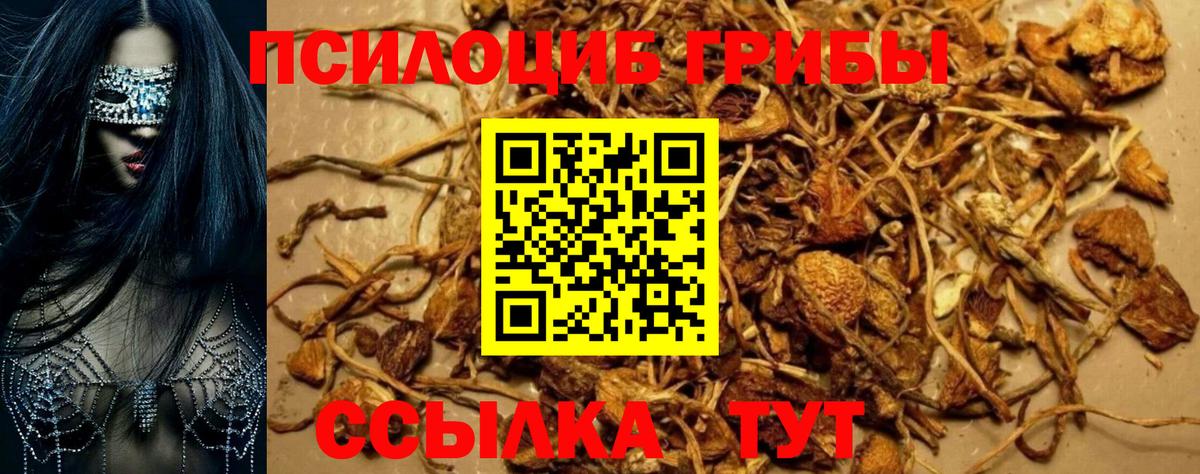 Галлюциногенные грибы мицелий  Псилоцибиновые грибы Magic Shrooms  Вход с VPN  Клинцы 